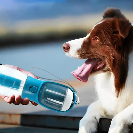 3-in-1 portable dog water bottle – dog drinking on a walk