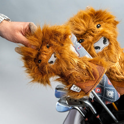 Highland Cow - Hybrid Cover
