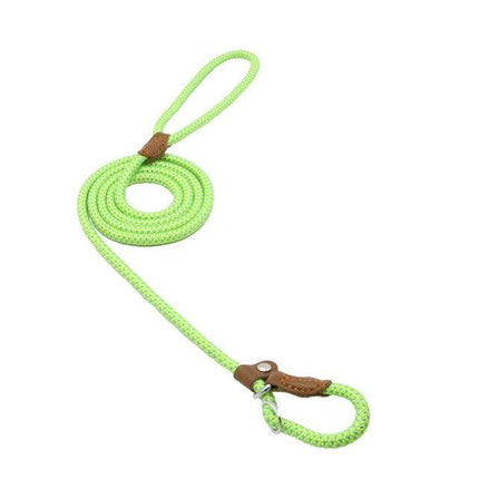 Rope Slip Lead Dog Leash – Braided Nylon Training Leash with Adjustable Leather StopperGreen21