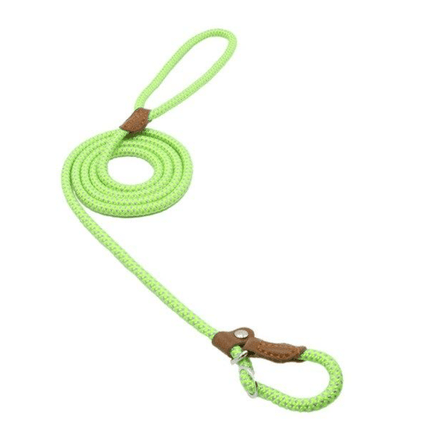 Rope Slip Lead Dog Leash – Braided Nylon Training Leash with Adjustable Leather StopperGreen13