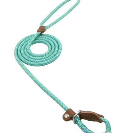 Rope Slip Lead Dog Leash – Braided Nylon Training Leash with Adjustable Leather StopperRed10