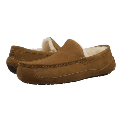 Ugg Ascot Suede 1101110 Men's Slipper Shoes Chestnut