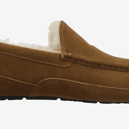 Ugg Ascot Suede 1101110 Men's Slipper Shoes Black