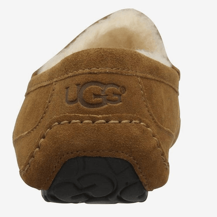 Ugg Ascot Suede 1101110 Men's Slipper Shoes Black