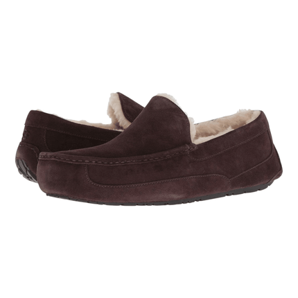 Ugg Ascot Suede 1101110 Men's Slipper Shoes Espresso