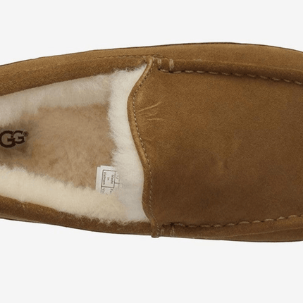 Ugg Ascot Suede 1101110 Men's Slipper Shoes Black